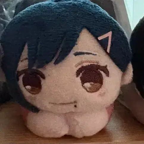 [BUNJANG] Hoshi Nagumo Aoi Hug Character / 호시나 나구모 아오이 허그캬라 판매