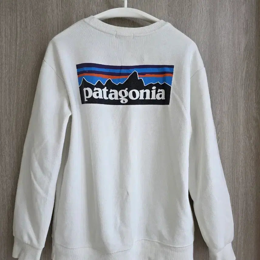 [BUNJANG] Patagonia Sweatshirt Unisex 95-100 / 파타고니아  스웻셔츠 남여공용 맨투맨 95-100