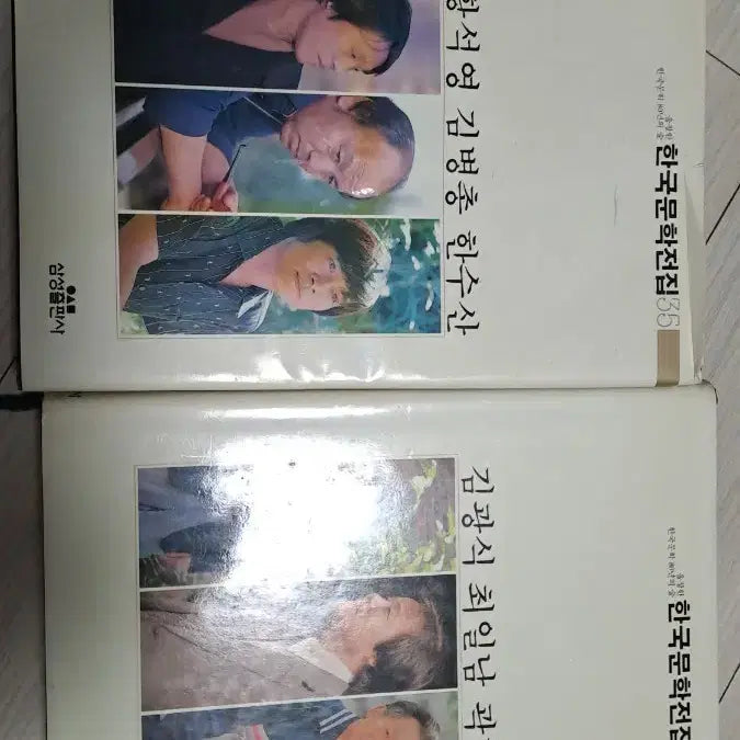 [BUNJANG] Korean Literature Collection Volume 35 & 118 Book Set / 한국문학전집 35, 118 두 권 세트