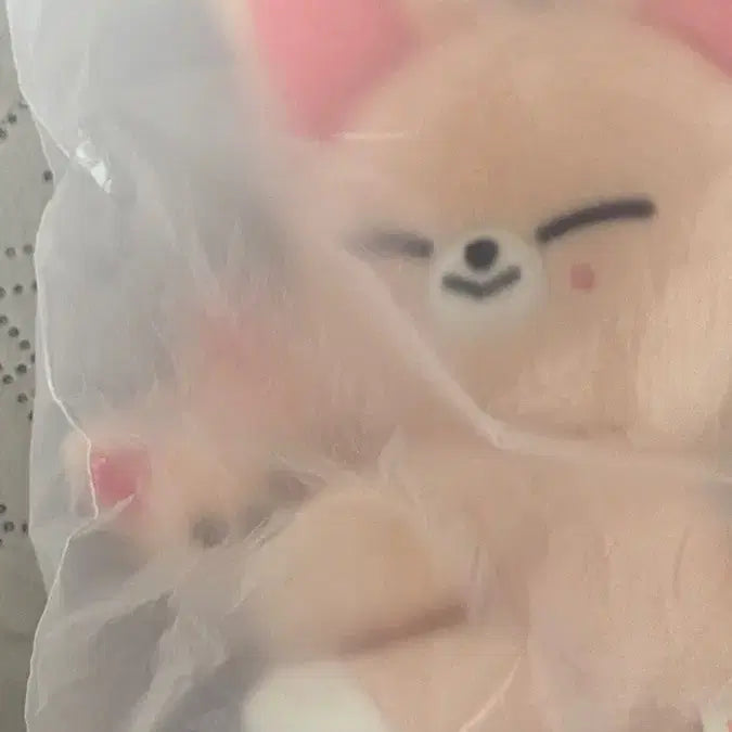 [SOLD OUT] 스키주 플러쉬 마그넷 폭시니 SKZOO