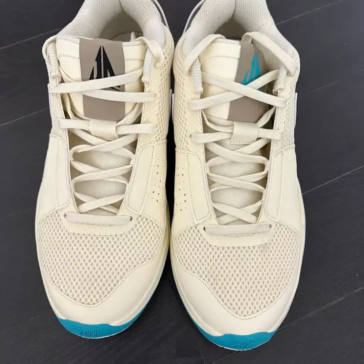 [BUNJANG] Ja Morant JA1 Basketball Shoes / [285] 자모란트 자1 JA1 농구화