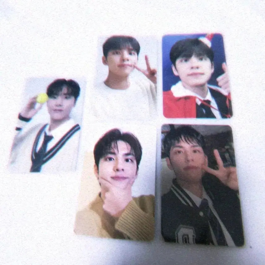 [BUNJANG] Day6 Young K Wonpil Photocard Bundle Set / 데이식스 포토카드 일괄 양도 영케이 원필