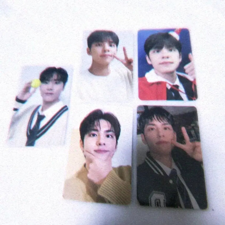 [BUNJANG] Day6 Young K Wonpil Photocard Bundle Set / 데이식스 포토카드 일괄 양도 영케이 원필