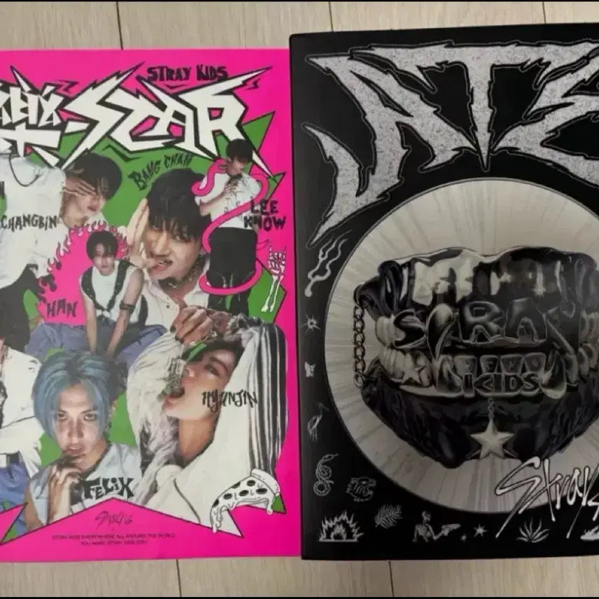 스트레이키즈 스키즈 개봉앨범 나눔