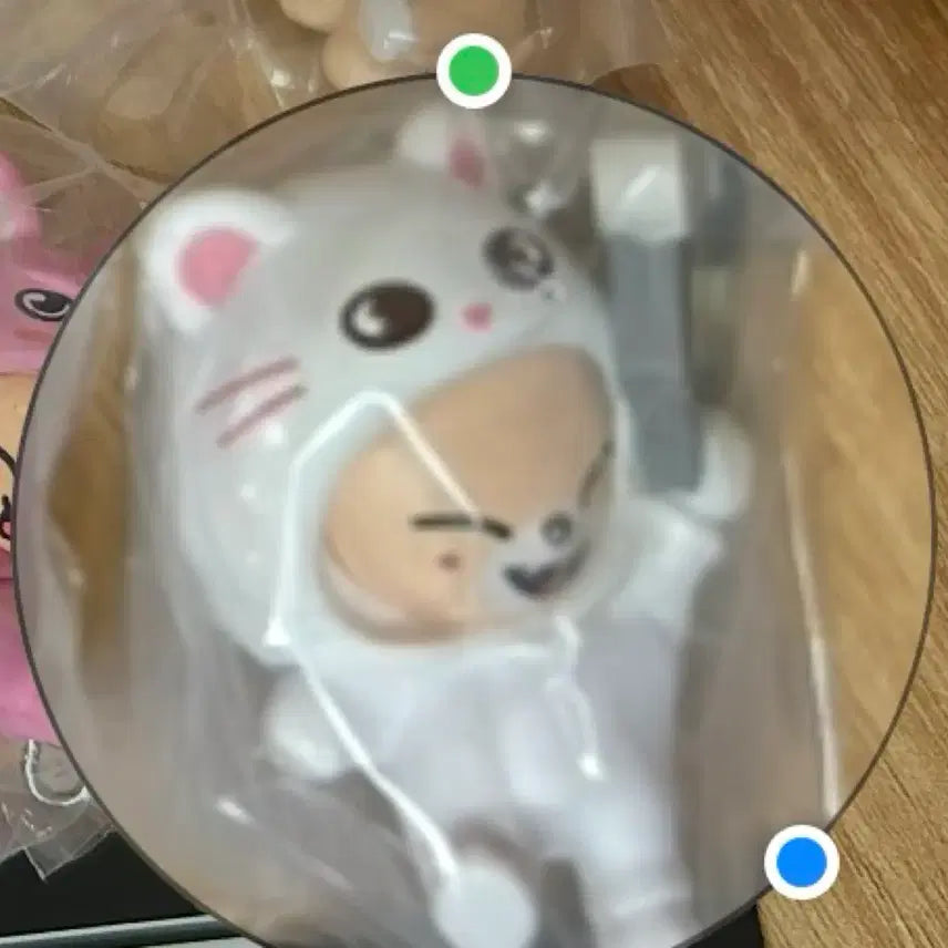 폭시니 스키주 대롱 가챠 스키즈