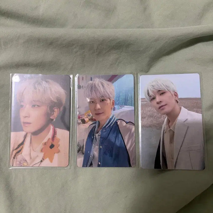 [BUNJANG] Seventeen Wonwoo Weverse Album Bundle Set / (일괄)페더썬 원우 위버스 앨범 판매합니다!