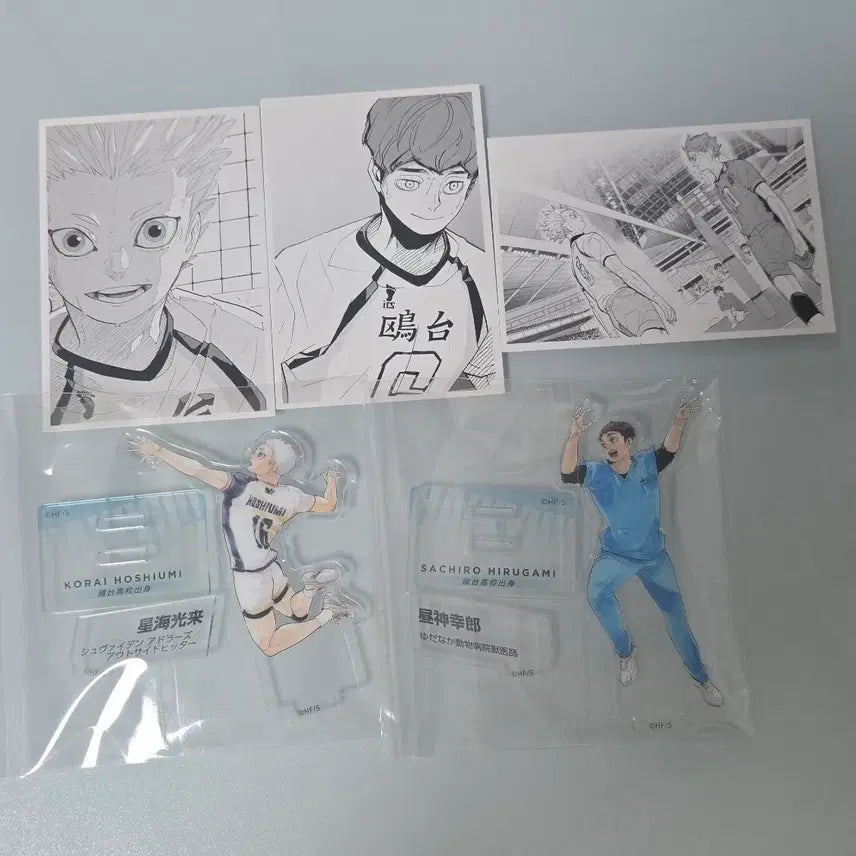 [BUNJANG] Ha.i.kyu 10th Anniversary Chronicle Acrylic Stand / 하이큐 10주년 크로니클 아크릴