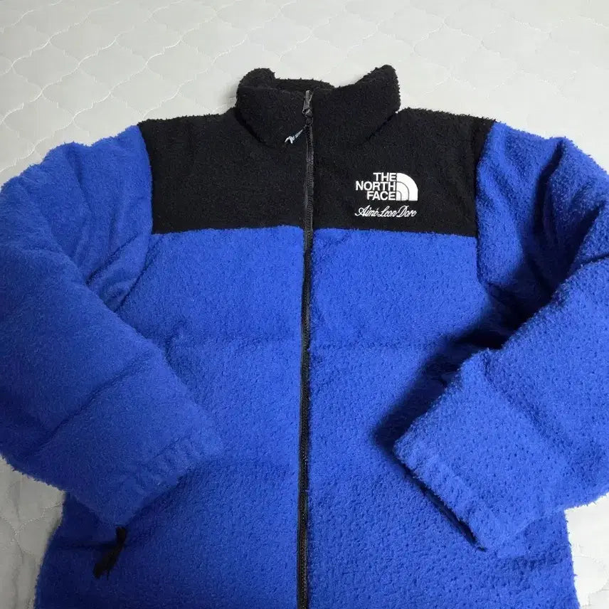 [BUNJANG] The North Face x Aime Leon Dore Padded Jacket / 노스페이스 x 에메 레온 도르 (Aime Leon Dore) 콜라보 패딩