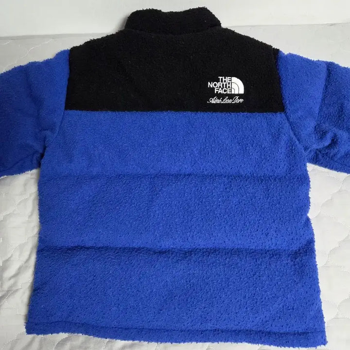 [BUNJANG] The North Face x Aime Leon Dore Padded Jacket / 노스페이스 x 에메 레온 도르 (Aime Leon Dore) 콜라보 패딩