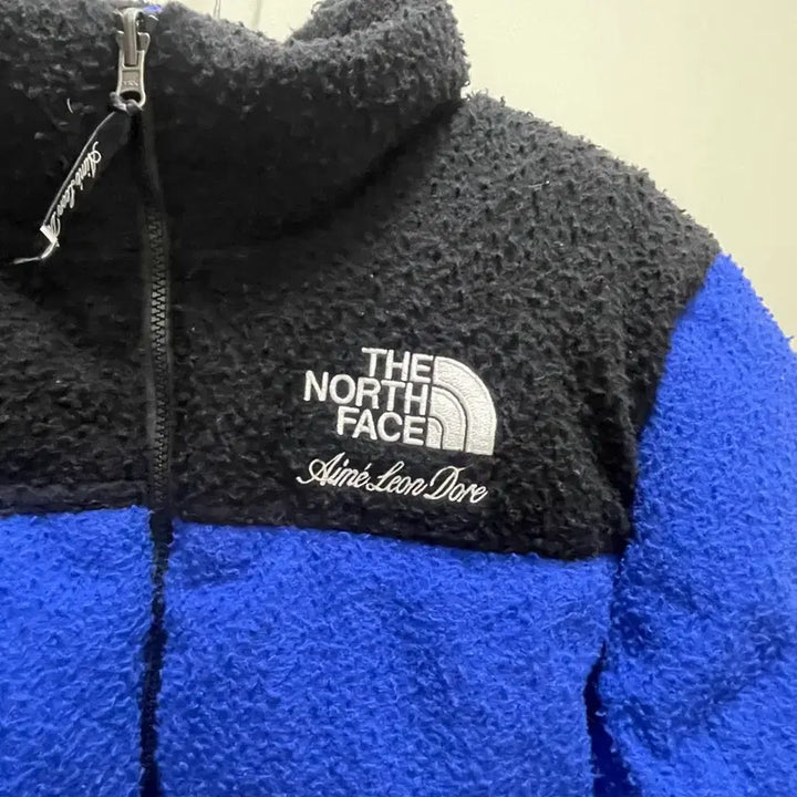 [BUNJANG] The North Face x Aime Leon Dore Padded Jacket / 노스페이스 x 에메 레온 도르 (Aime Leon Dore) 콜라보 패딩