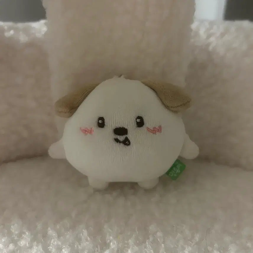 [BUNJANG] RIIZE Anton Mini Dragon Plush / 라이즈 앤톤 미니 멍룡이