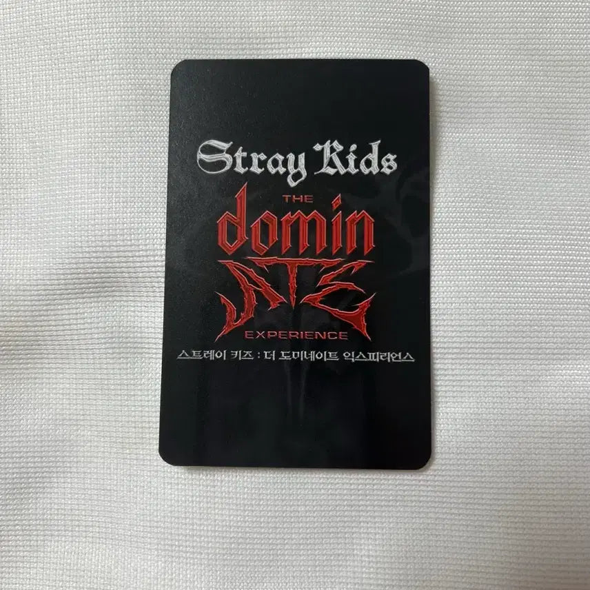 스트레이키즈 스키즈 리노 CGV 더 도미네이트 익스피리언스 특전 포카