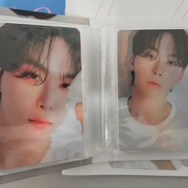 세븐틴 베스트앨범 디어버전 캐럿반 승관 + 특전 승관 포카 2