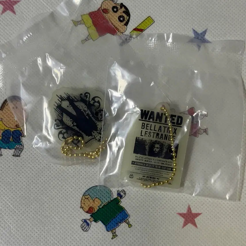[BUNJANG] Harry Potter Bellatrix Lestrange Acrylic Charm Keychain / 해리포터 야광 아크릴 참 가챠 키링 벨라트릭스 말포이