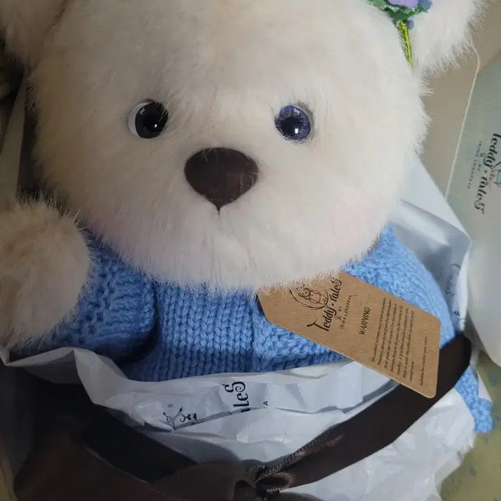 [BUNJANG] TeddyTalez Storyline M Photocard / 테디테일즈 스토리라인 물망초 M 판매합니다