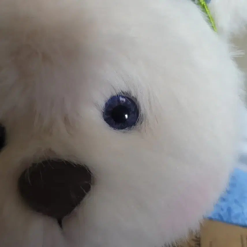 [BUNJANG] TeddyTalez Storyline M Photocard / 테디테일즈 스토리라인 물망초 M 판매합니다