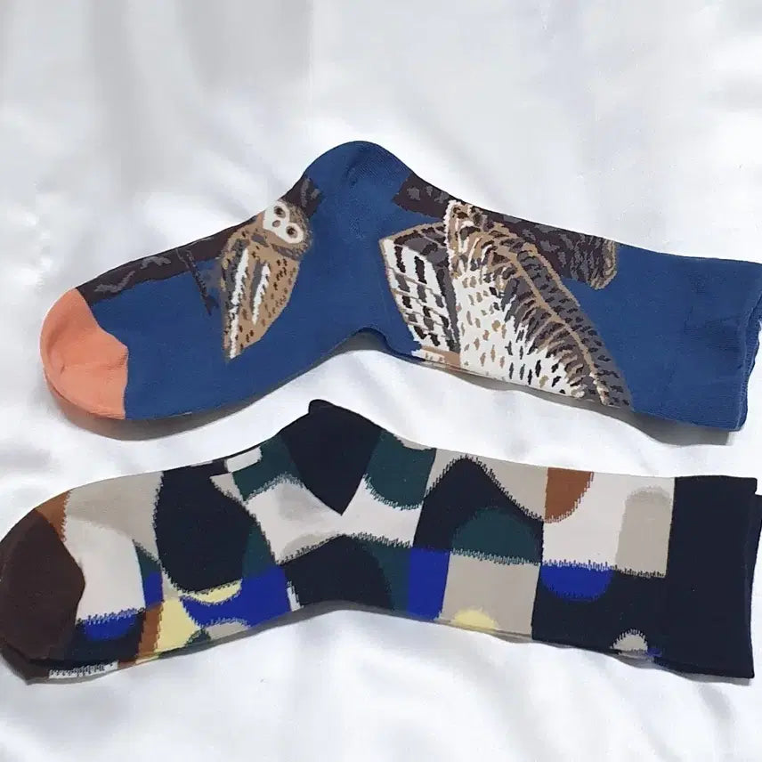 [BUNJANG] Bonne Maison Owl Pattern Socks / 블루 그린 그레이 살구 부엉이 Bonne Maison 본메종 양말
