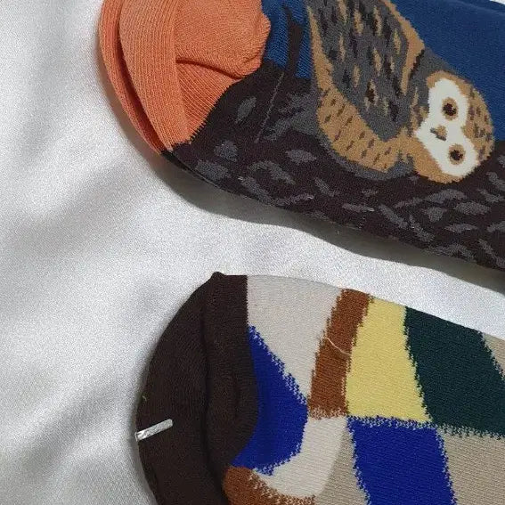 [BUNJANG] Bonne Maison Owl Pattern Socks / 블루 그린 그레이 살구 부엉이 Bonne Maison 본메종 양말
