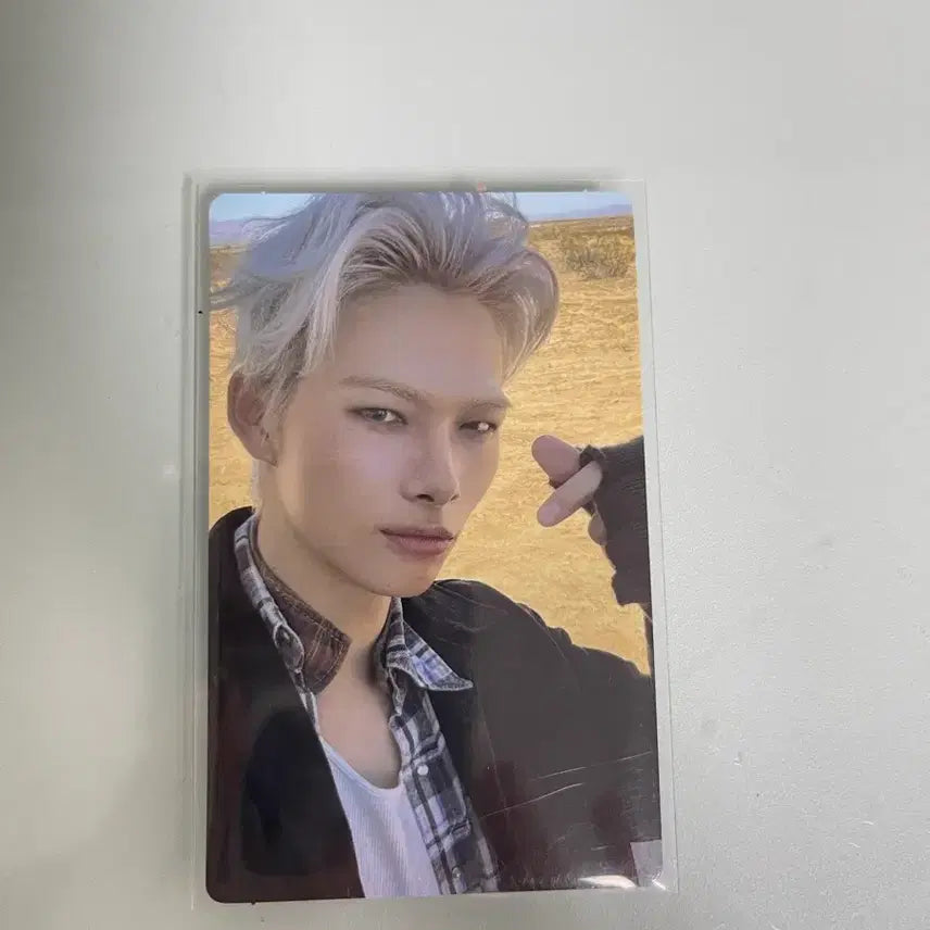 니키 더 신 베니시 애프터라이트 버전 양도