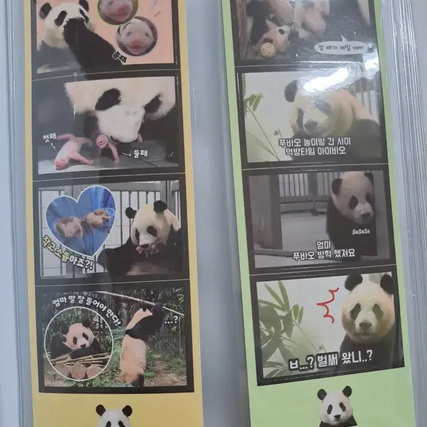 [BUNJANG] Fu Bao Goods Bundle Set / 푸바오 굿즈 일괄