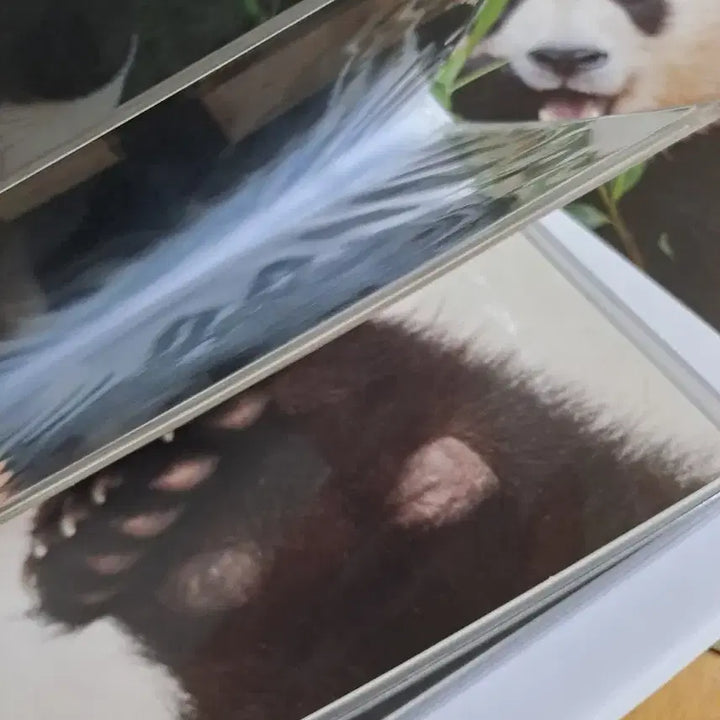 [BUNJANG] Fu Bao Goods Bundle Set / 푸바오 굿즈 일괄