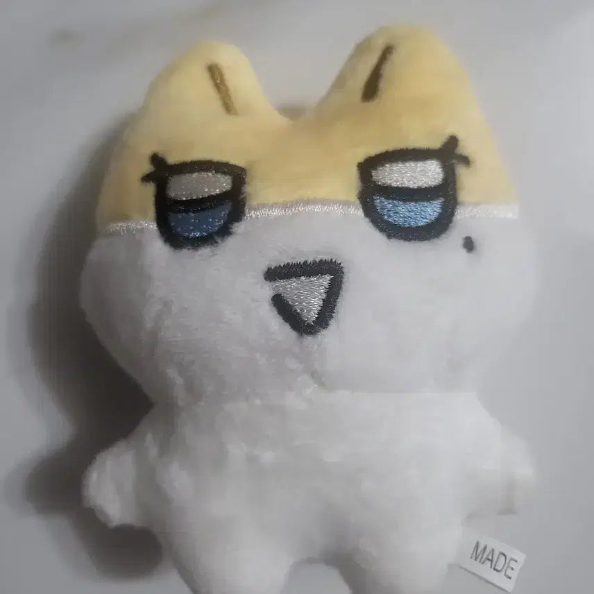 플레이브 짱레이브 노아