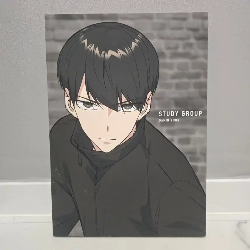 [SOLD OUT] 스터디그룹 윤가민 액자