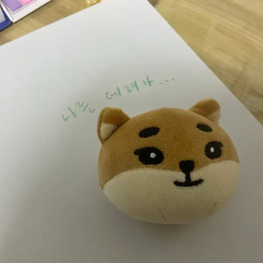 데이식스 데니멀즈 케 스트레스볼 양도