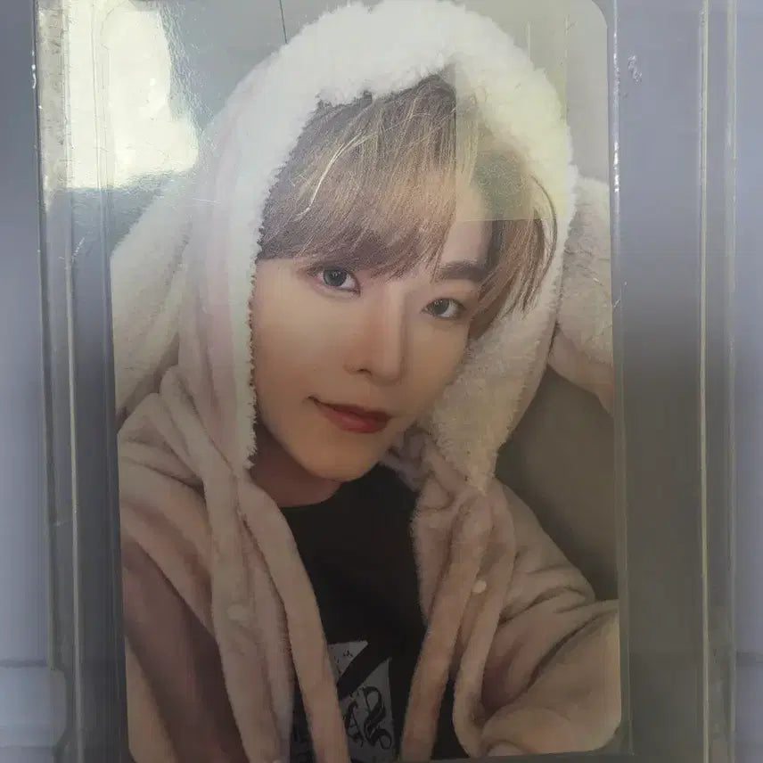 알파드라이브원 씬롱 토끼담요 포토카드