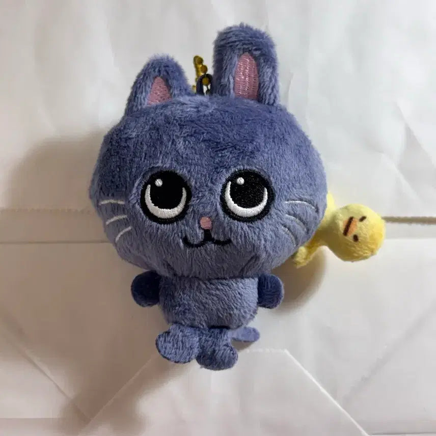 라이즈 상하이 팝업 8cm 대두 토냥덕 인형 키링