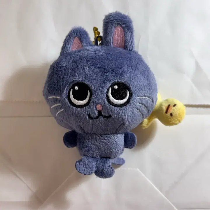 라이즈 상하이 팝업 8cm 대두 토냥덕 인형 키링