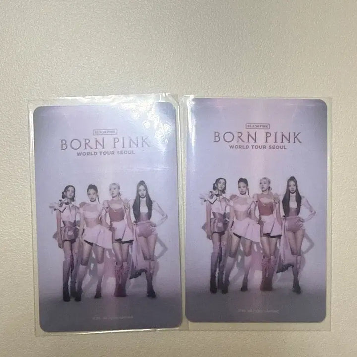 블랙핑크 제니 2022 본핑크 콘서트 럭드 일괄