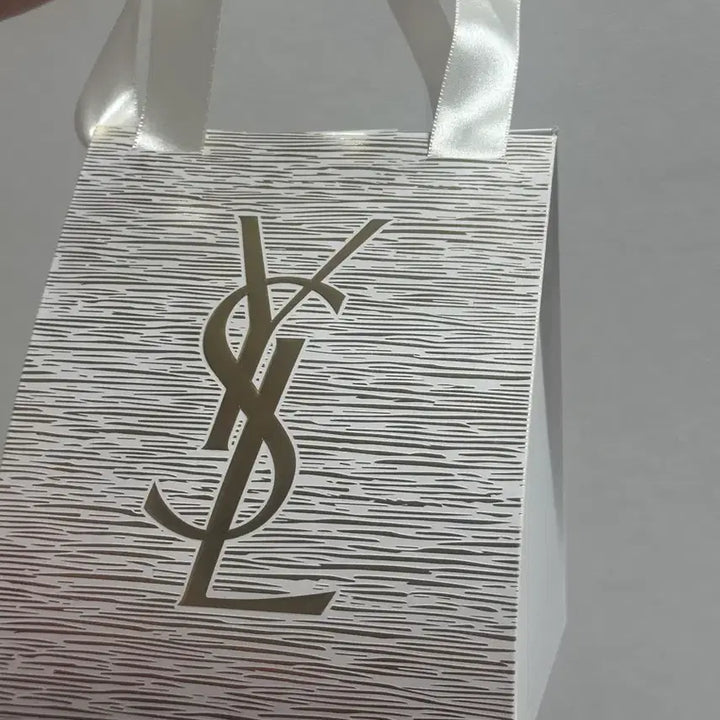 [BUNJANG] Dior Saint Laurent Holiday Shopping Bag / 디올 생로랑 홀리데이 쇼핑백