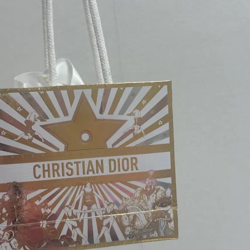 [BUNJANG] Dior Saint Laurent Holiday Shopping Bag / 디올 생로랑 홀리데이 쇼핑백