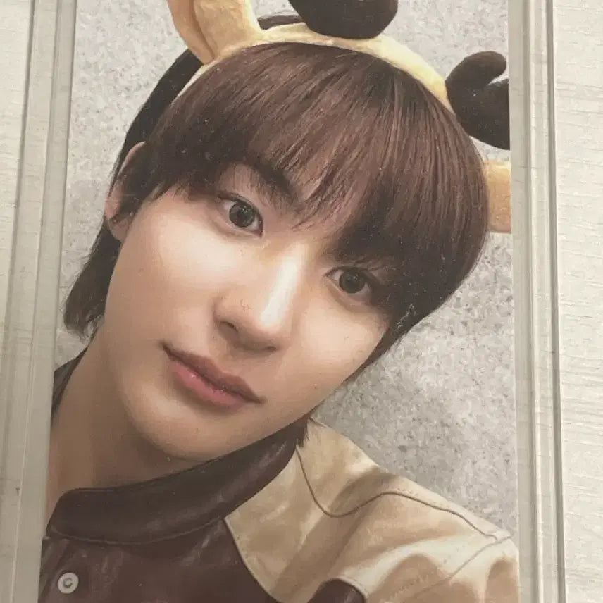 앤톤 핑크 크리스마스 포카