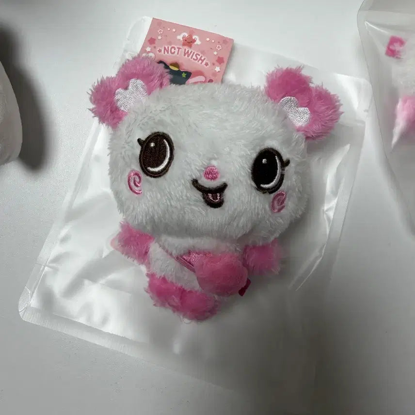 Nct wish 엔시티 위시 위시돌 팡이 사쿠야