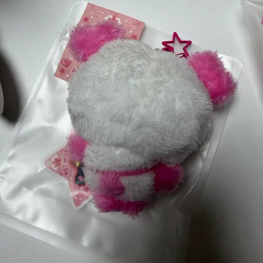 Nct wish 엔시티 위시 위시돌 팡이 사쿠야