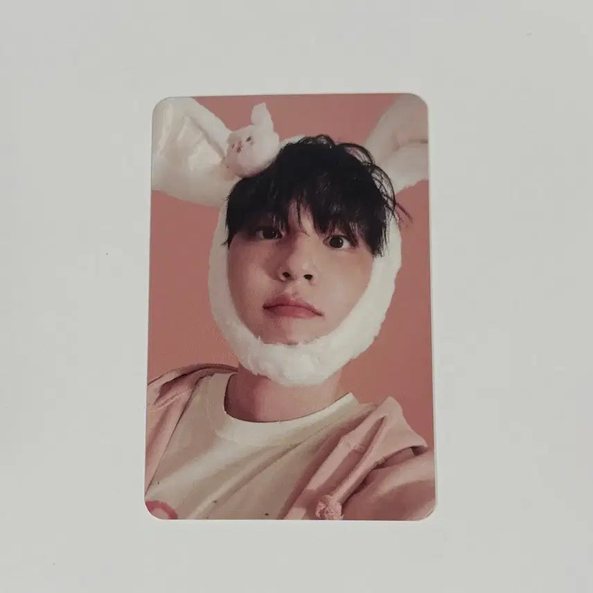 데이식스 원필 시그 포카 2026 시즌그리팅