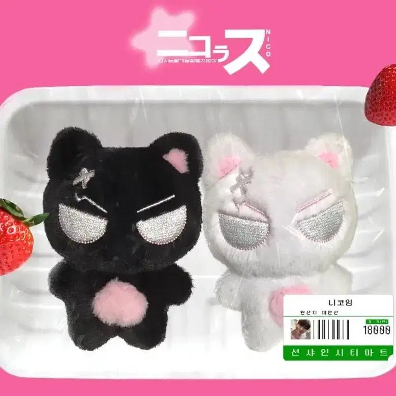 앤팀 이치고냥 검은색 판매