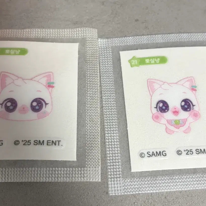 위시캣 엔시티위시 사쿠야띠부실 양도