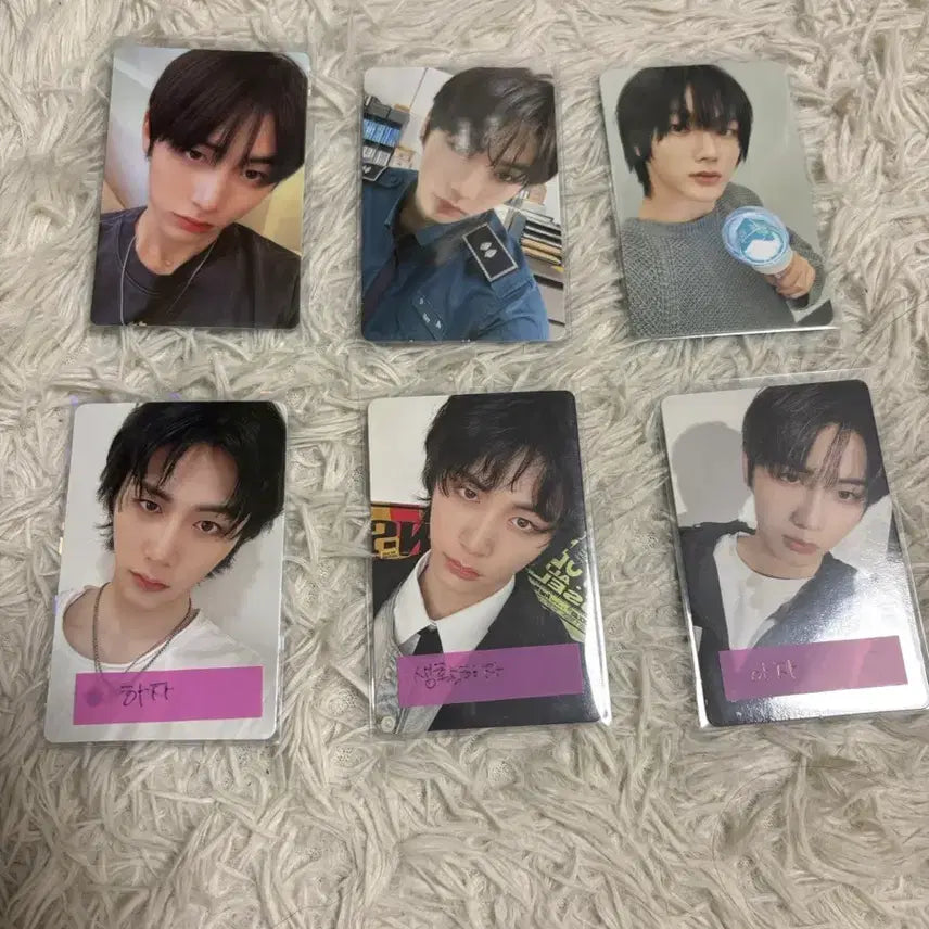 보이넥스트도어 성호 태산 포카