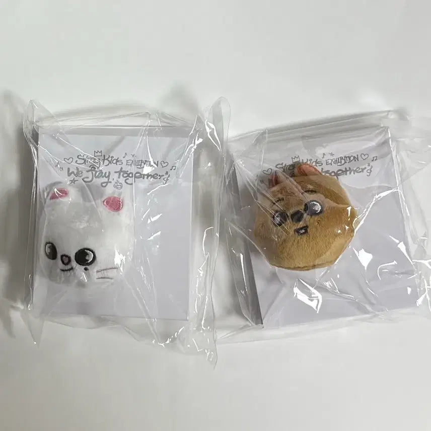 스트레이키즈 스키즈 스키주 일본 전시회 반지 한쿼카