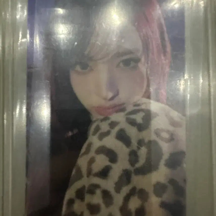 아이브 리즈 뱅뱅 공방 포카