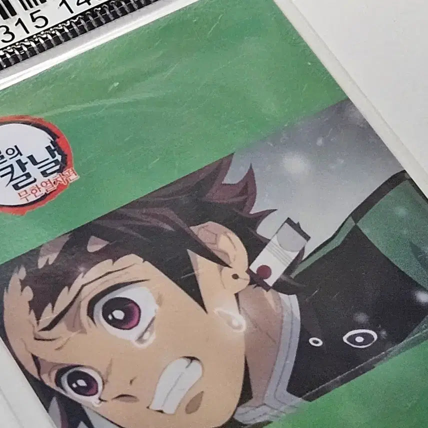 [BUNJANG] Demon Slayer Tanjiro Transportation Card / 귀멸의 칼날 탄지로 교통카드