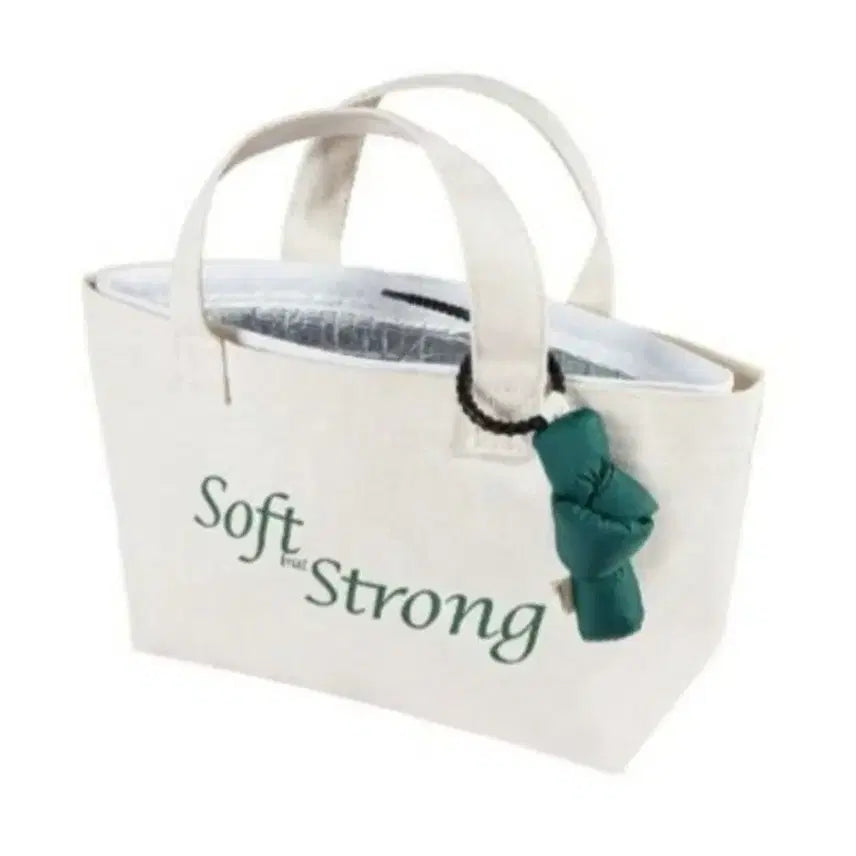 [BUNJANG] HANYUL Picnic Bag / 한율 피크닉가방 피크닉백 보냉가방