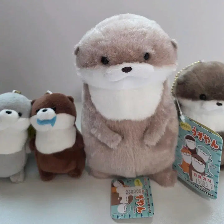 [BUNJANG] Unknown Bundle Set Doll / 수달 인형 일괄 판매