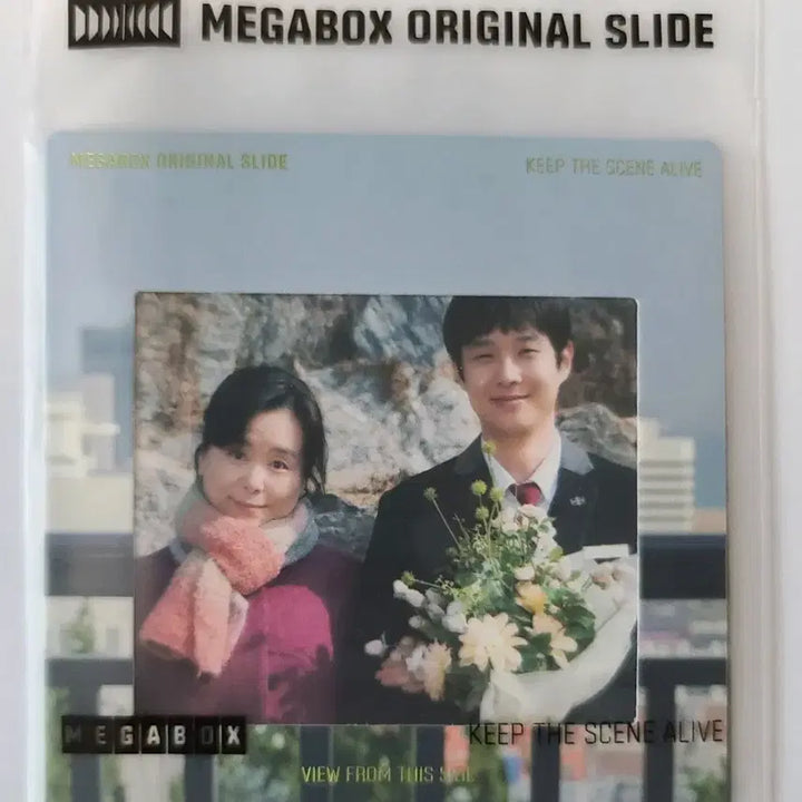 [BUNJANG] Number One Original Slide / [오리지널슬라이드] 넘버원 오리지널 슬라이드