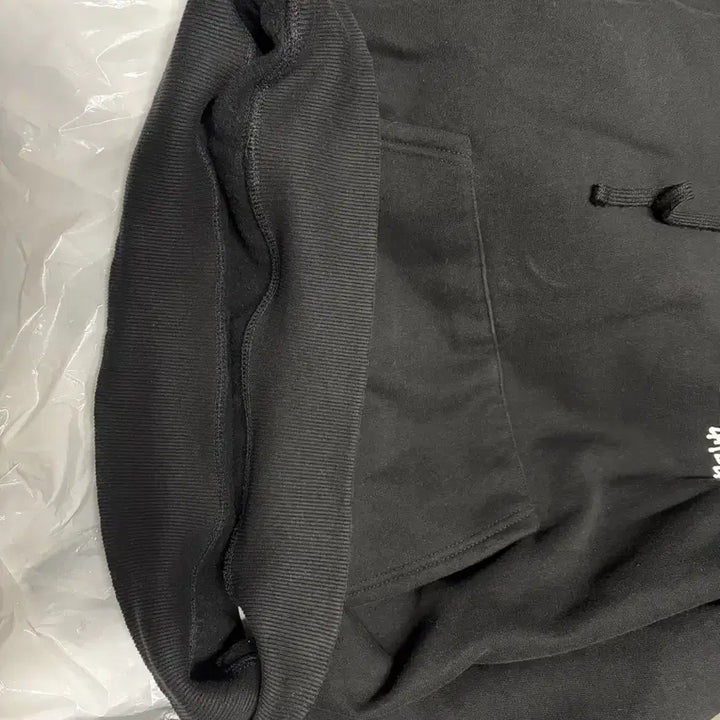 [BUNJANG] Stussy Basic Stussy Hoodie Black 2022 L Size / 스투시 베이직 스투시 후드 블랙 2022 L사이즈