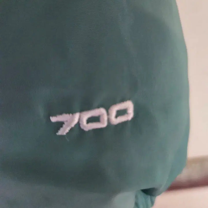 [BUNJANG] The North Face 700 Fill Eco Nuptse Goose Down Puffer Jacket / 노스페이스700필 에코눕시  구스패딩110