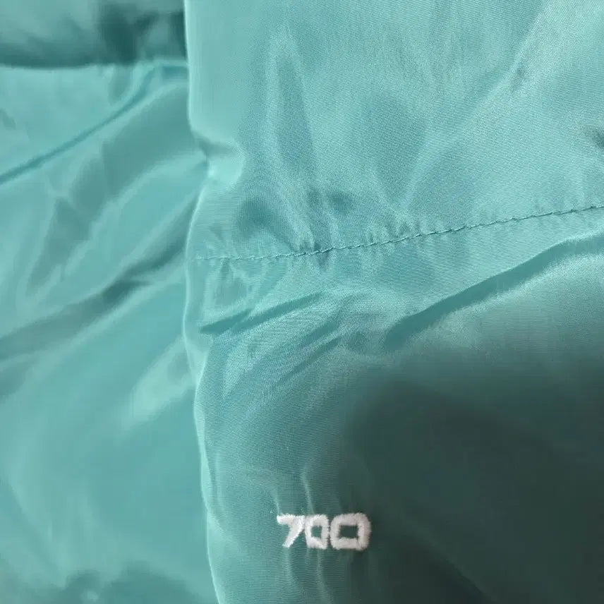 [BUNJANG] The North Face 700 Fill Eco Nuptse Goose Down Puffer Jacket / 노스페이스700필 에코눕시  구스패딩110